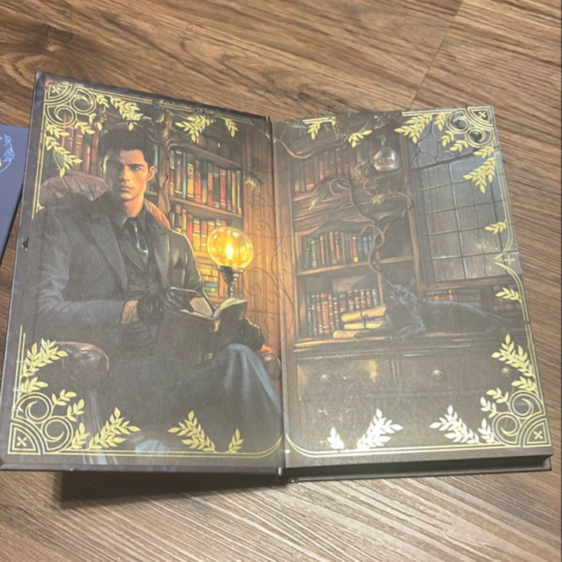 The Wren in the Holly Library (Fairyloot)