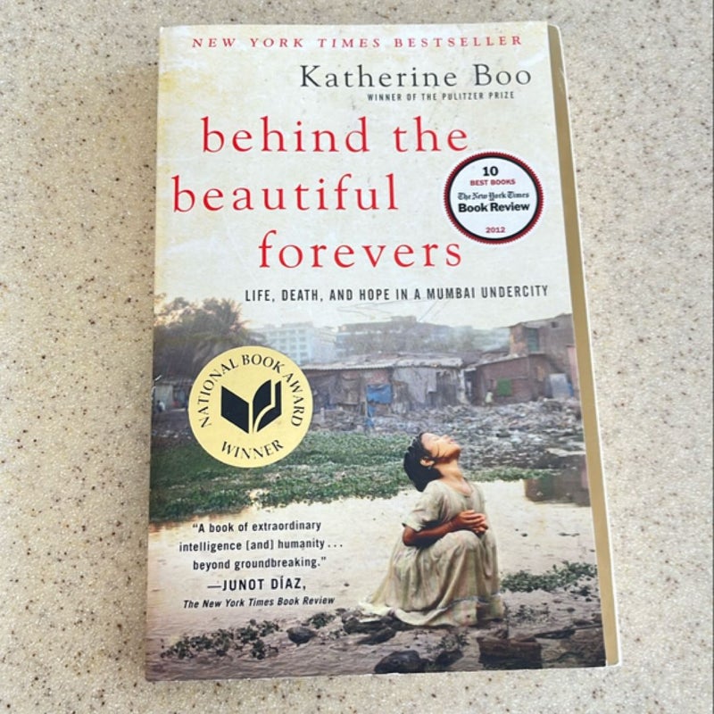 Behind the Beautiful Forevers