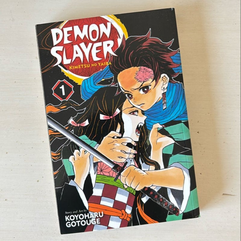 Demon Slayer: Kimetsu No Yaiba, Vol. 1