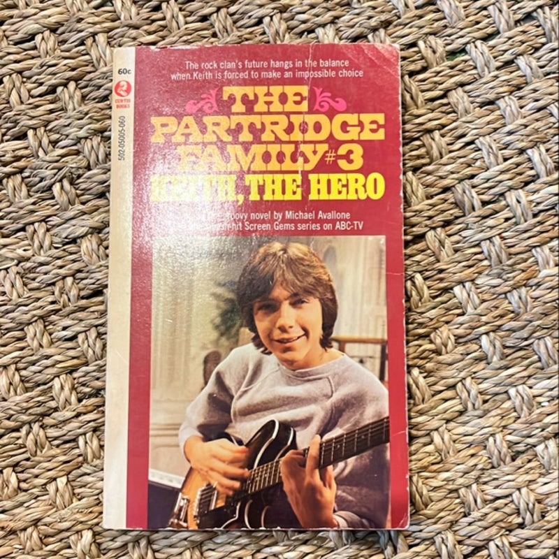 The Partridge Family #3