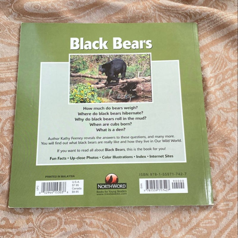 Black Bears