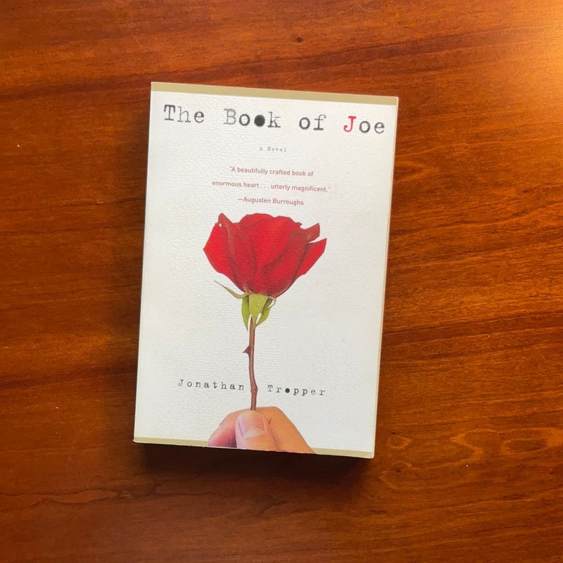 The Book of Joe