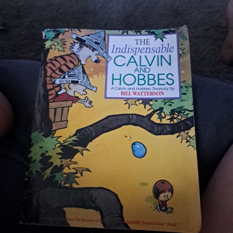 The Indispensable Calvin and Hobbes