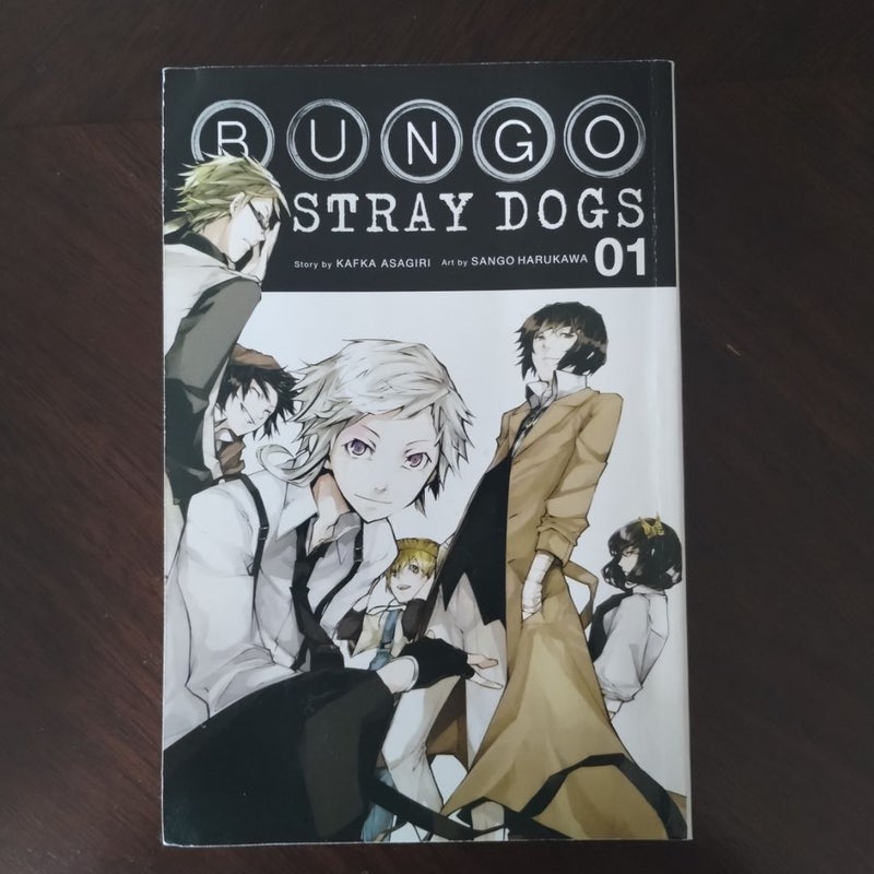 Bungo Stray Dogs, Vol. 1