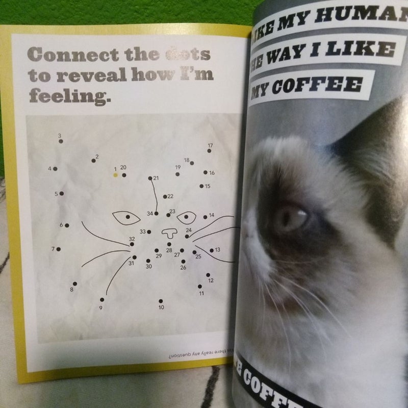 Grumpy Cat - First Scholastic Printing