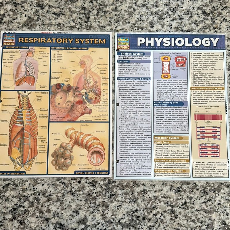 Quick Study Anatomy & Physiology by QuickStudy, Paperback | Pangobooks