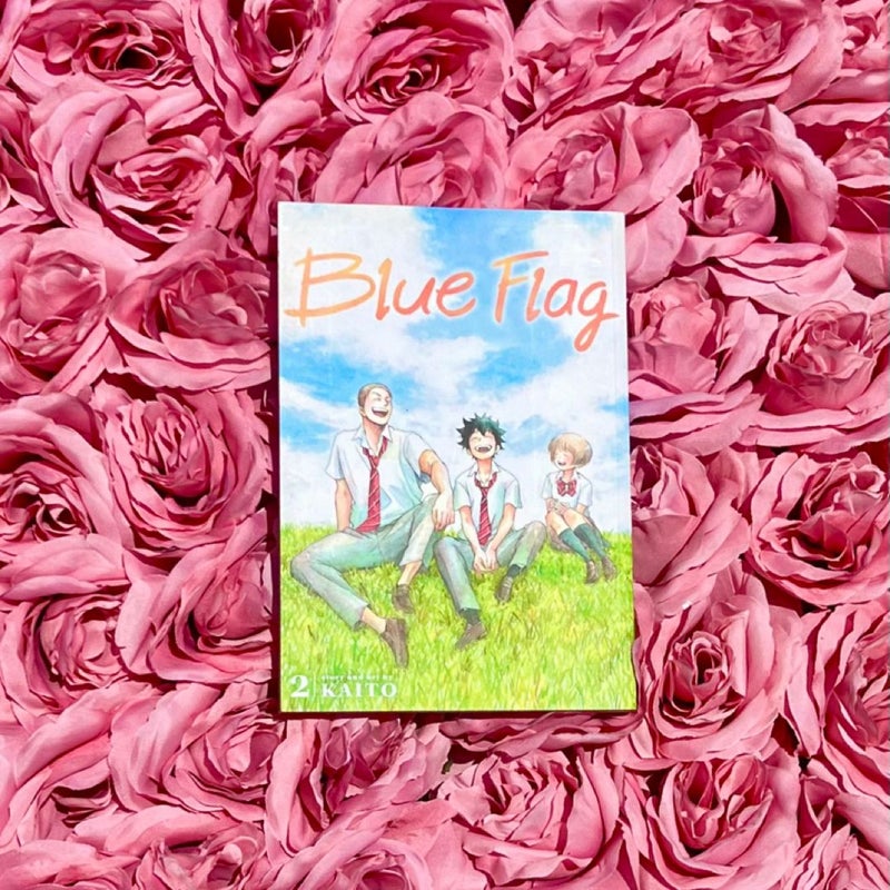 Blue Flag, Vol. 2