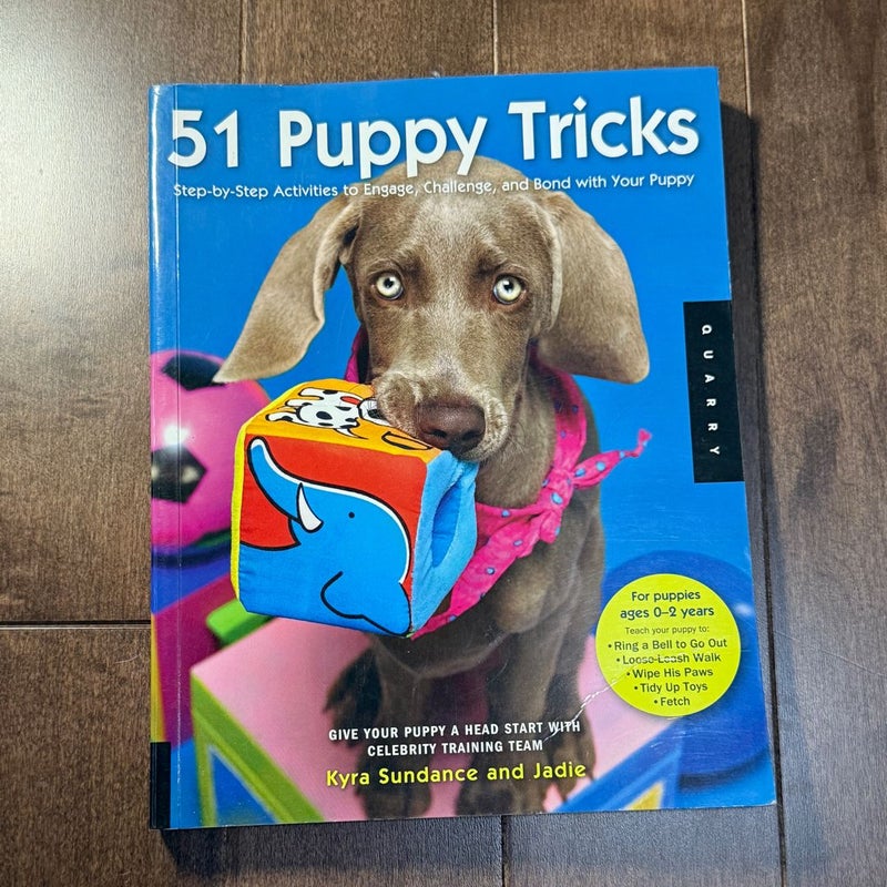 51 Puppy Tricks