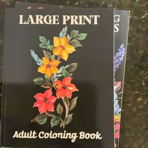 Large Print Adult Coloring Book