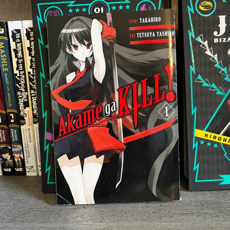 Akame Ga KILL!, Vol. 1