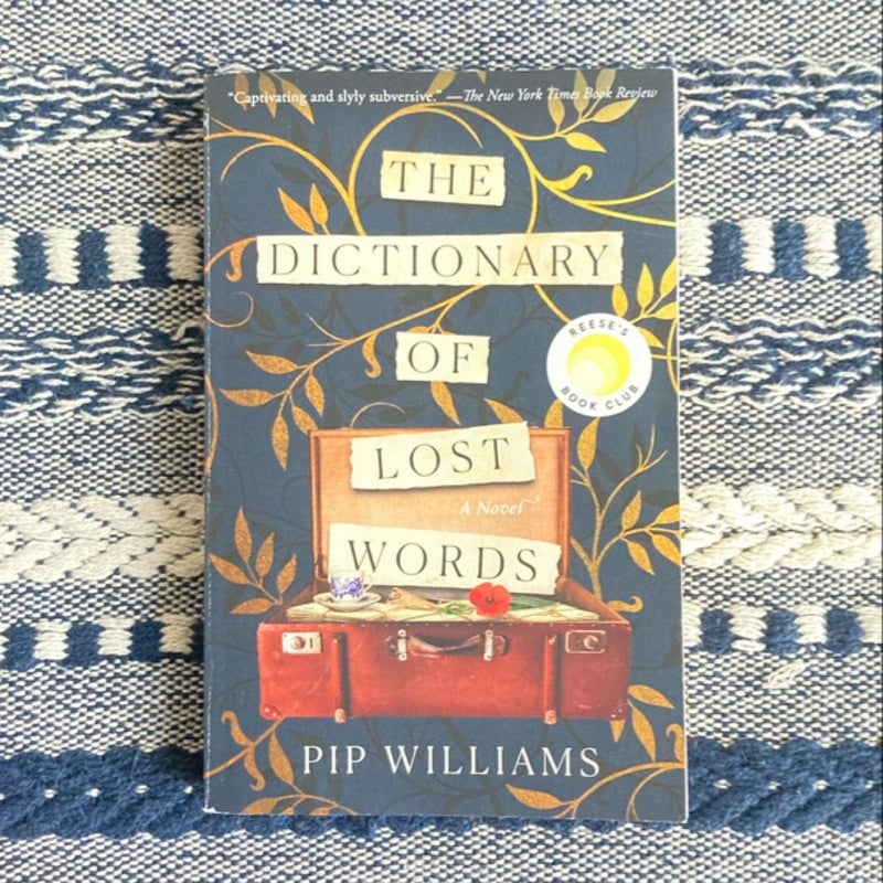 The Dictionary of Lost Words