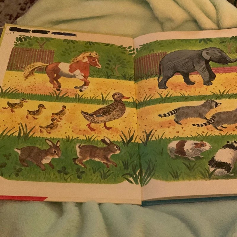 The Baby Animal Zoo