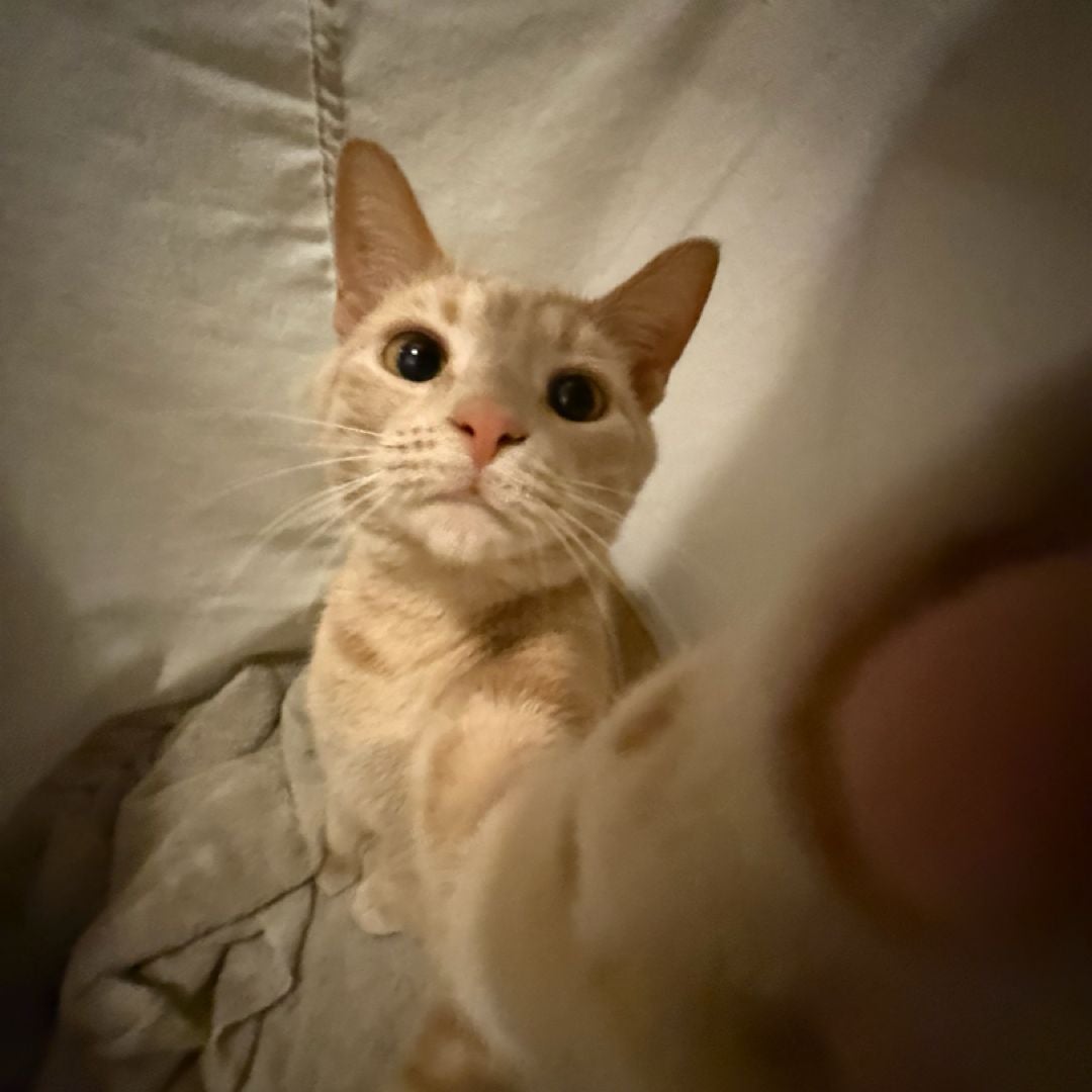 Itsy
