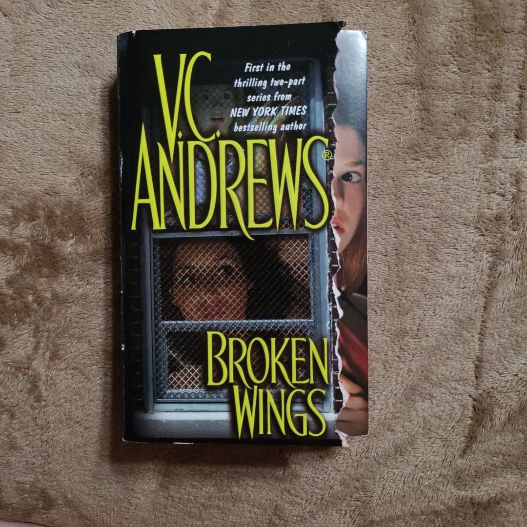 Broken Wings