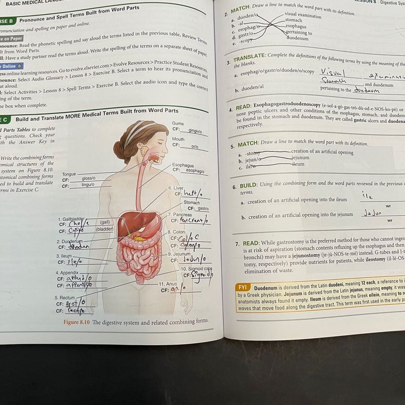 Basic Medical Language by Danielle S. LaFleur, Myrna LaFleur 