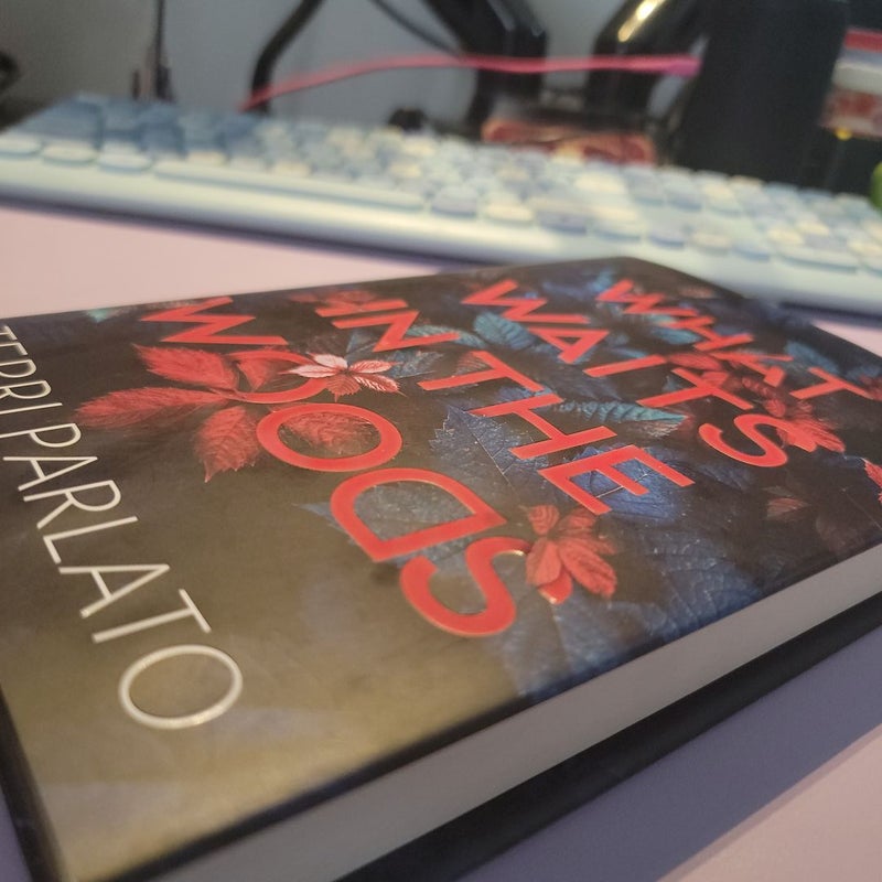 What Waits in the Woods by Terri Parlato, Hardcover Pangobooks