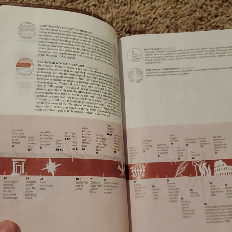 NIV Life Application Study Bible Red Letter Edition [Brown]