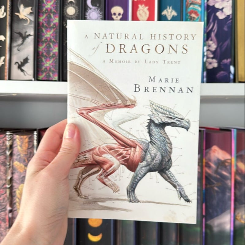 A Natural History of Dragons