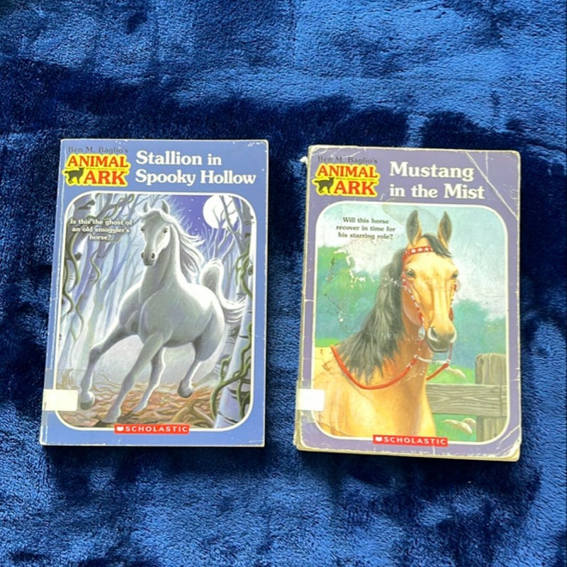 BOOK BUNDLE: Mustang in the Mist and Stallion in Spooky Hollow