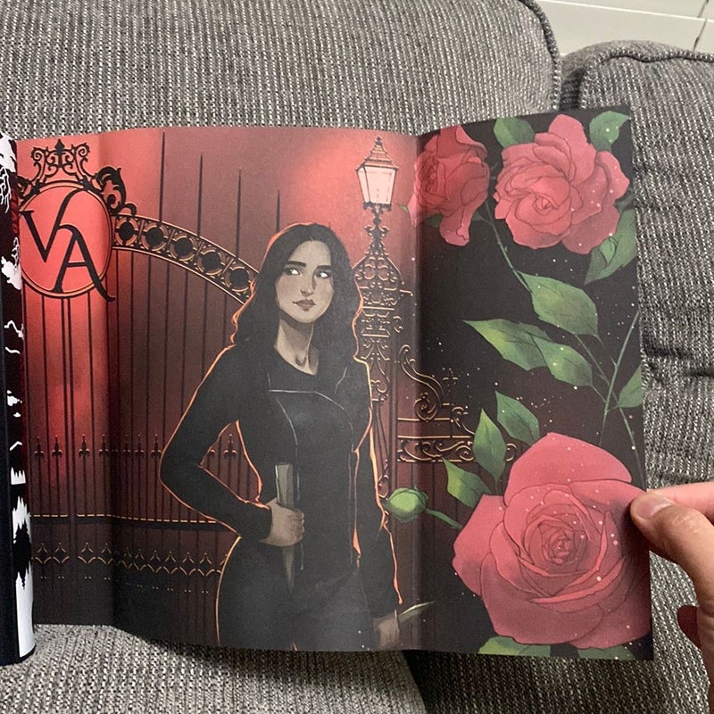 Vampire Academy Fairyloot Edition