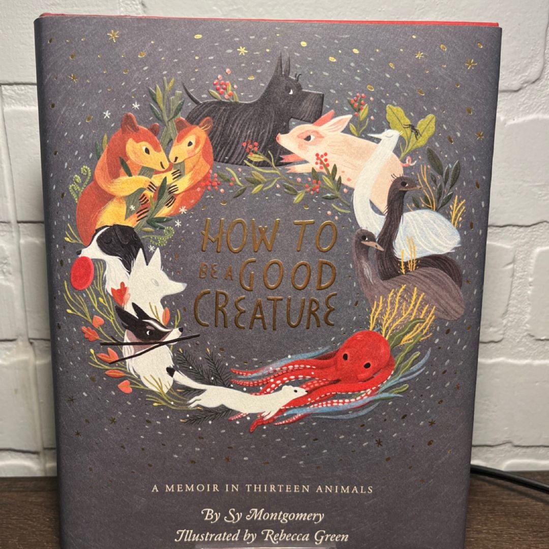 Sale image for ab47908d-b255-4cb7-9d97-207d4d4204fb-z3aiho3WsrgmfL2Dje5R2SkwA5D2