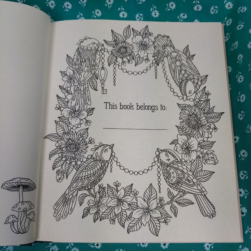 Summer Nights Coloring Book