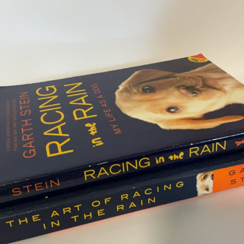 Garth Stein - Art of Racing in the Rain - Adult and Young Reader Pair of Books