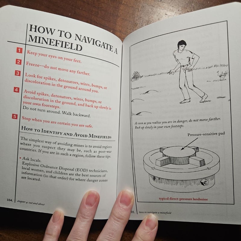 The Worst-Case Scenario Survival Handbook: Travel