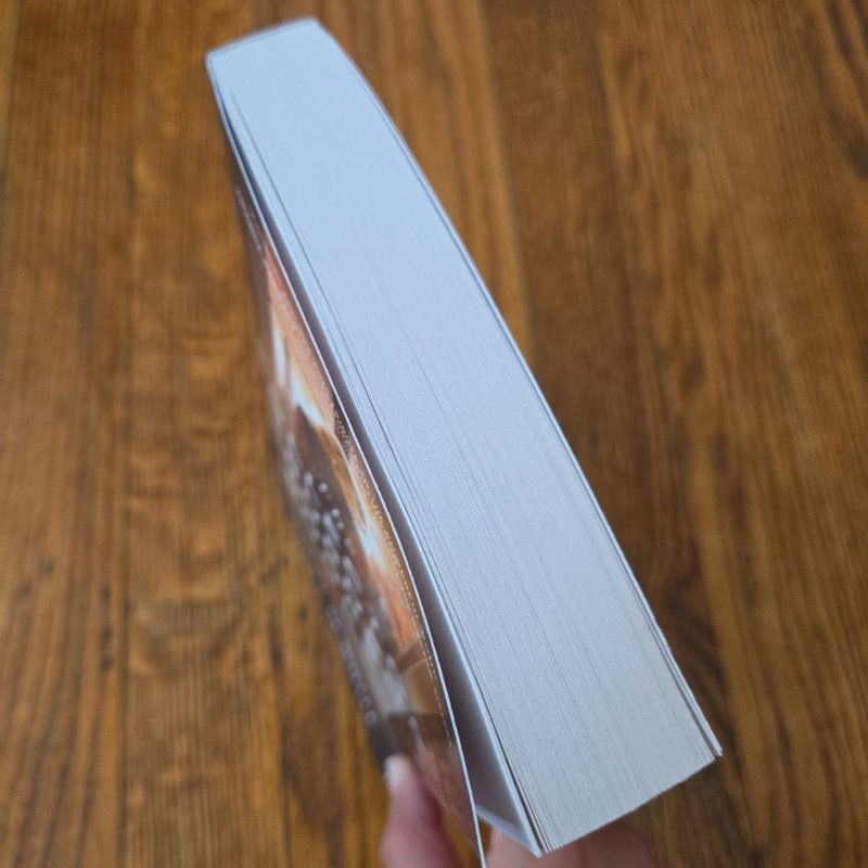 The Collector of Burned Books