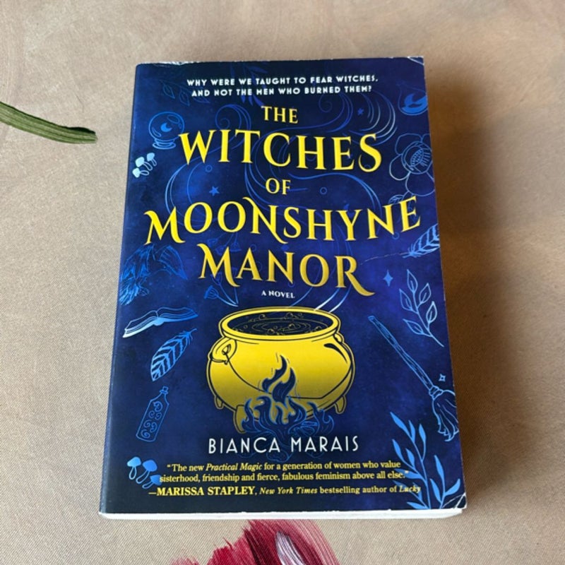 The Witches of Moonshyne Manor