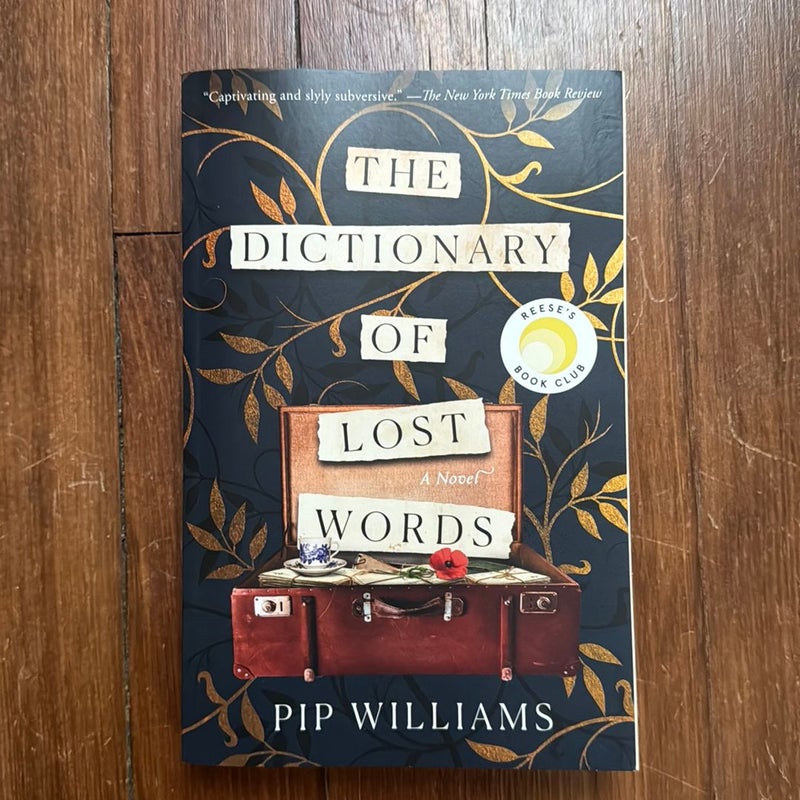 The Dictionary of Lost Words