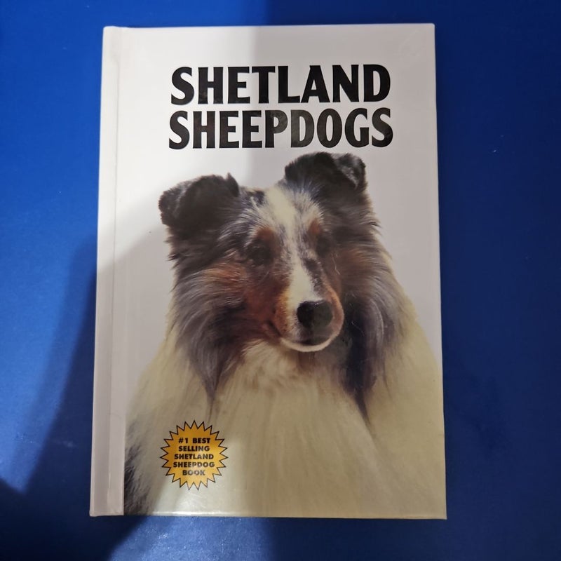 Shetland Sheepdogs