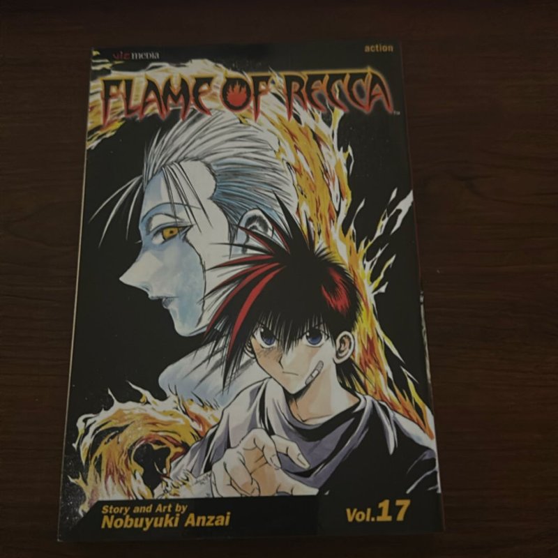 Flame of Recca, Vol. 17