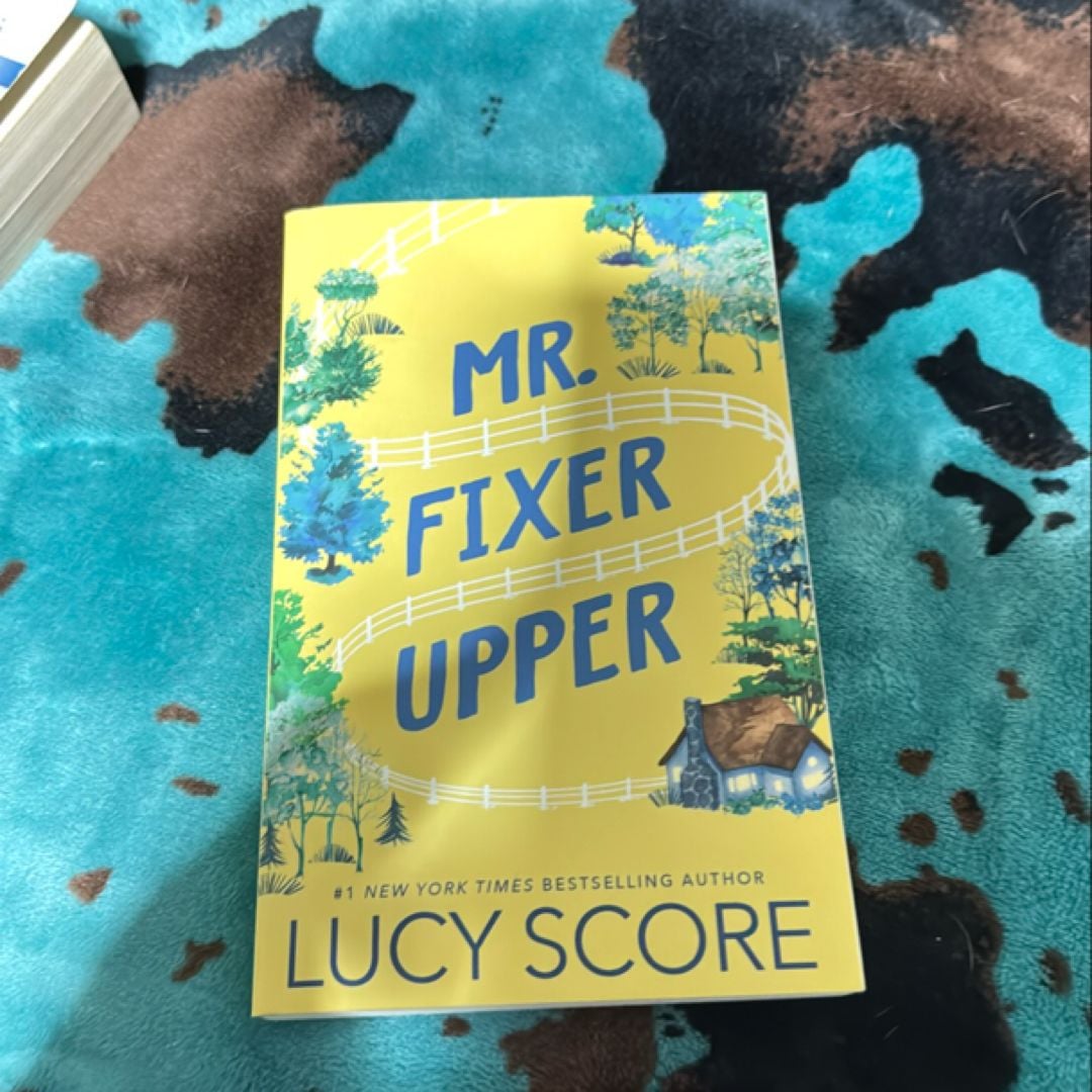 Interesting Info About Mr Fixer Upper