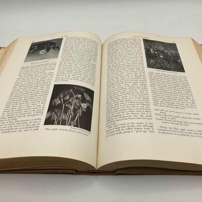 Handbook of Nature Study Anna Botsford Comstock Hardcover 1939