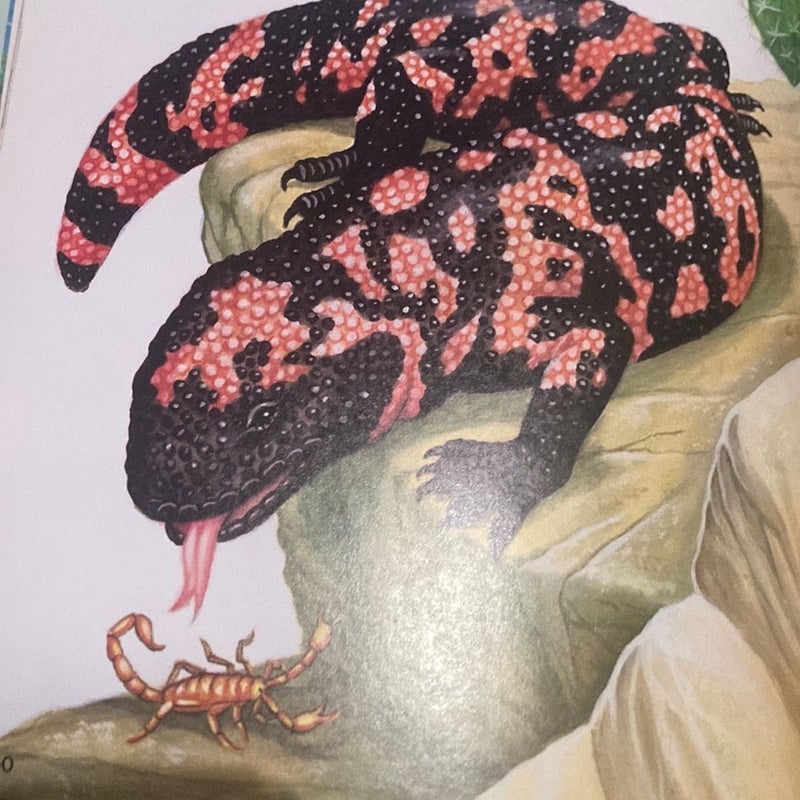 The Golden Book of Snakes and Other Reptiles