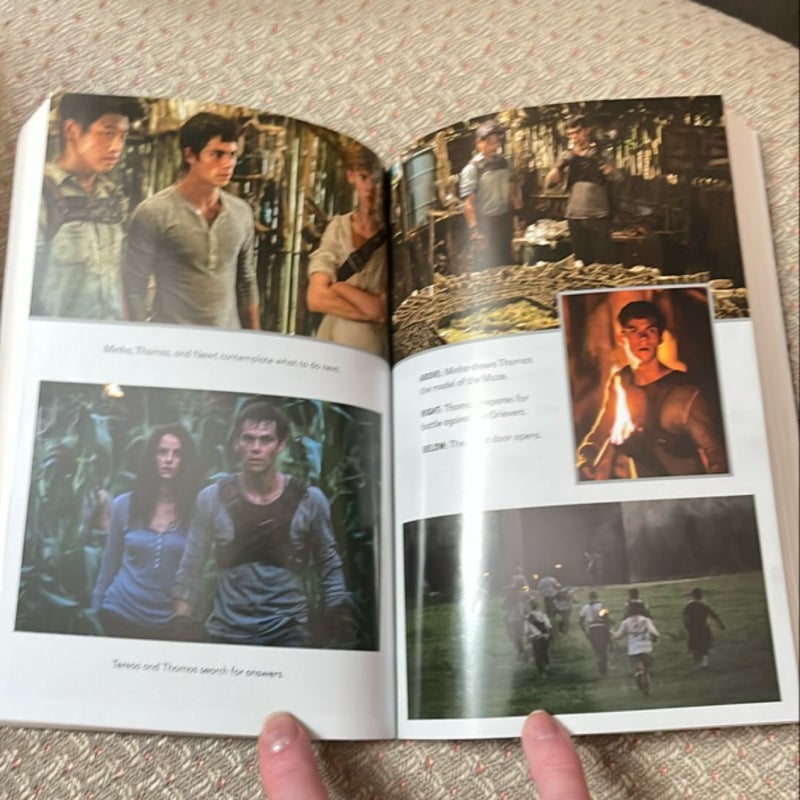 The Maze Runner Movie Tie-In Edition (Maze Runner, Book One)