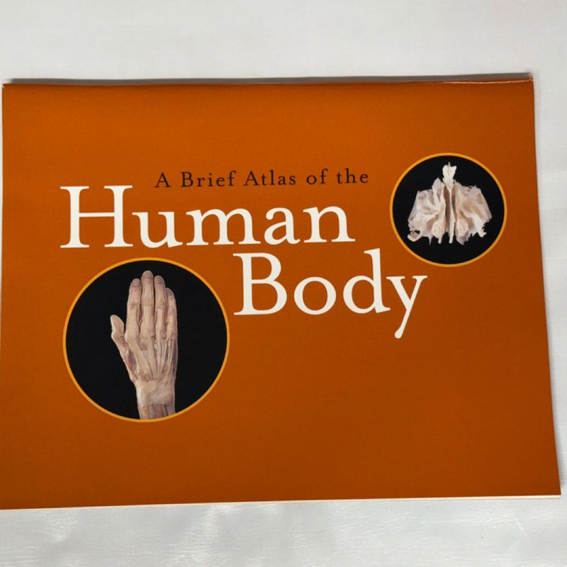 A Brief Atlas of the Human Body