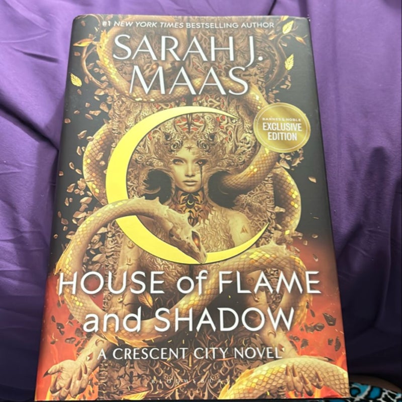 House of Flame and Shadow