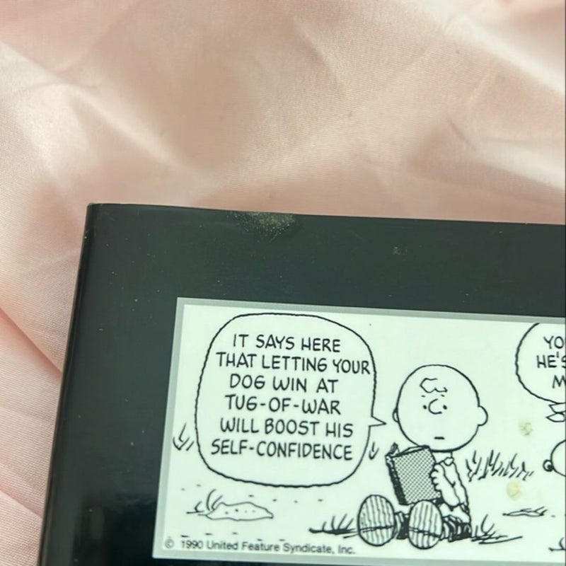 Peanuts Guide to Life