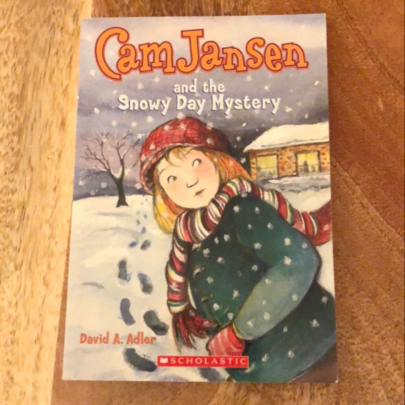 Cam Jansen and the Snowy Day Mystery