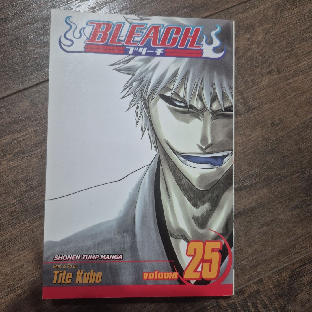 Bleach, Vol. 25