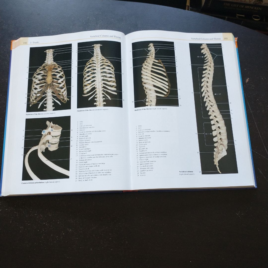Color Atlas of Anatomy by Johannes W. Rohen; Chihiro Yokochi; Elke