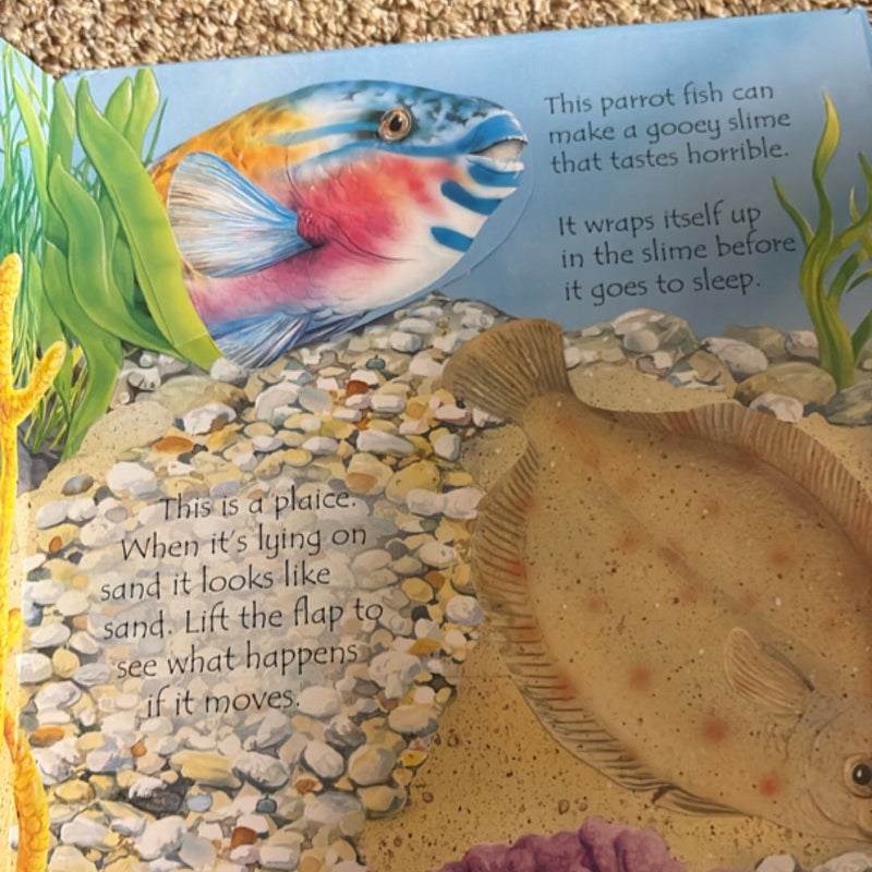 Under the Sea Lift-the-Flap