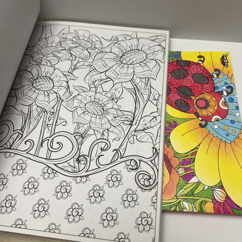 Timeless Creations Bundle (2 Coloring Books): Magical Gardens & Colors in Bloom 