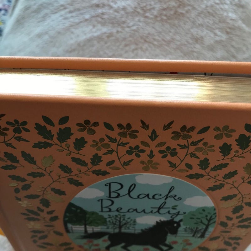 Black Beauty (Barnes & Noble Classic Edition)