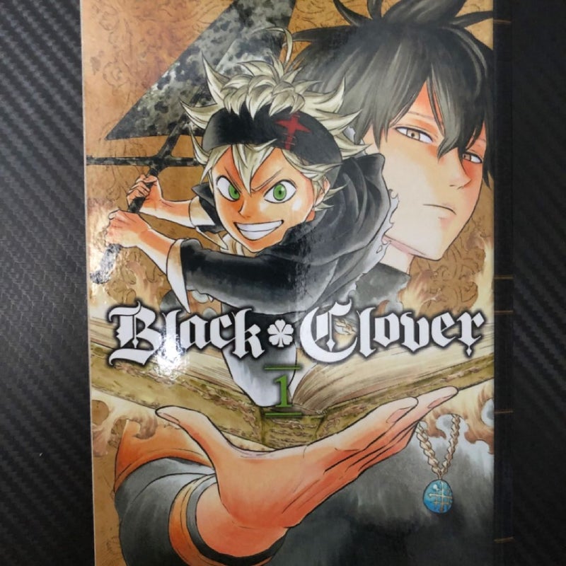 Black Clover, Vol. 1