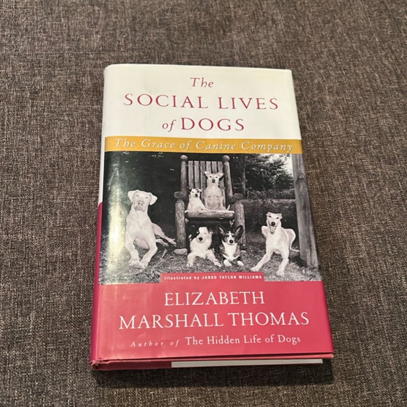 The Social Lives of Dogs