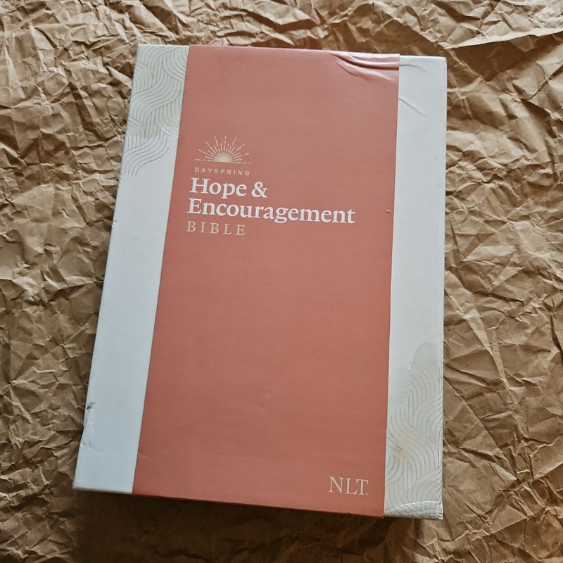 NLT DaySpring Hope and Encouragement Bible (Hardcover Deluxe, Seafoam Green)