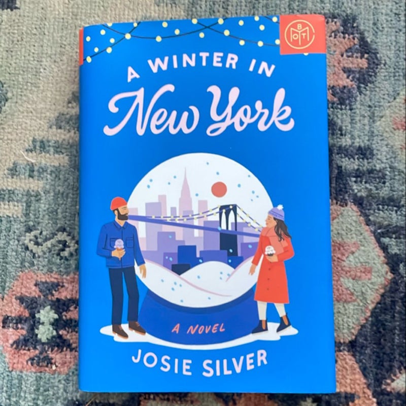 A Winter in New York